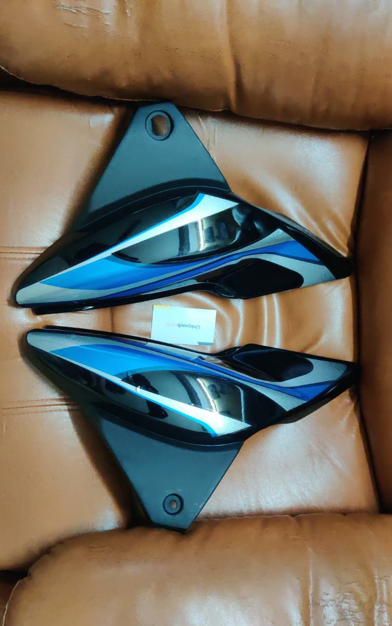 Bajaj Discover WS Side Panel