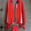 Hero Honda Karizma Tail Panel