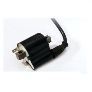 Ambition Ignition Coil Swiss