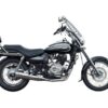 Bajaj Avenger Front Mudguard - Image 2
