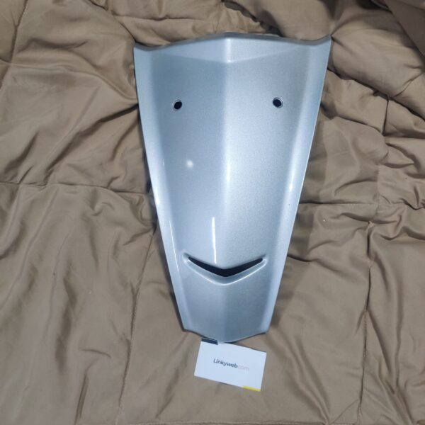 IMG_20240629_200548 Hero Maestro Front Nose Silver
