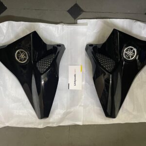 WhatsApp Image 2024-10-30 at 17.18.33 Yamaha FZ V2 TPFC Black
