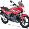 Hero Honda Karizma Tail Panel